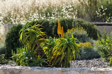 Seaside Villa Retreat with Pool, Zaraće