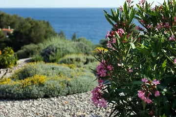Seaside Villa Retreat with Pool, Zaraće