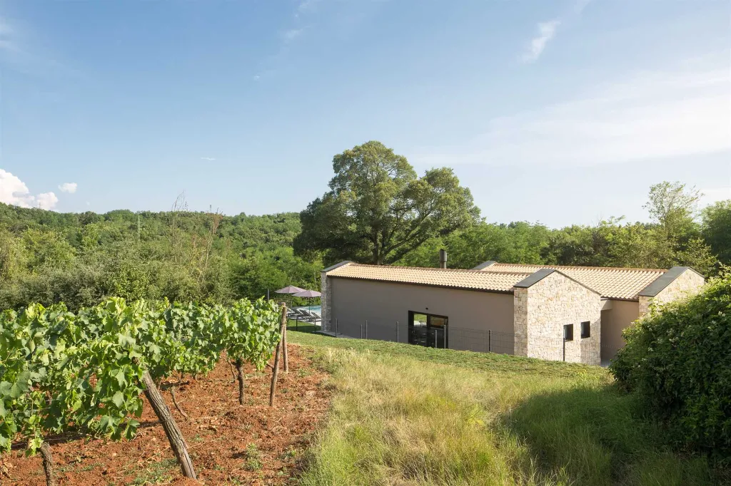 Modern Forestside Villa with Pool in Motovun