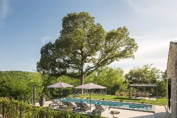 Modern Forestside Villa with Pool in Motovun