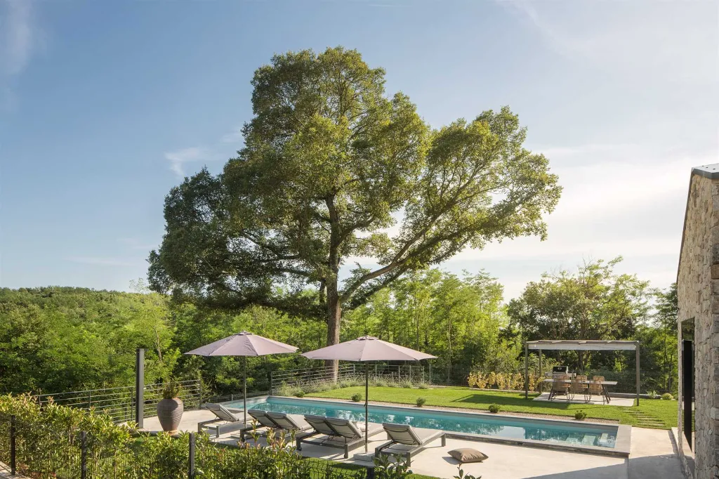 Modern Forestside Villa with Pool in Motovun