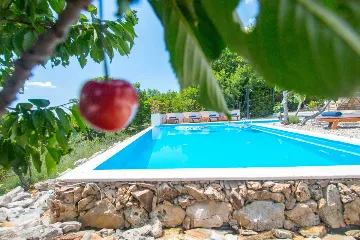 Contemporary Villa with Pool and Garden in Crikvenica