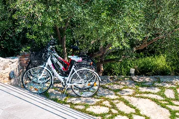 Seaside Family Villa with Pool on Prvić Luka Island