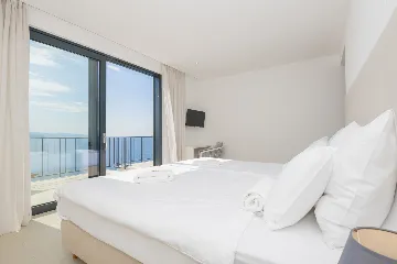 Seaview Grand Villa with Pool in Brela