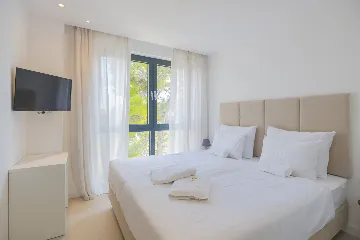 Seaview Grand Villa with Pool in Brela