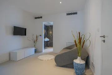 Seaview Grand Villa with Pool in Brela