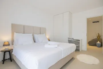 Seaview Grand Villa with Pool in Brela