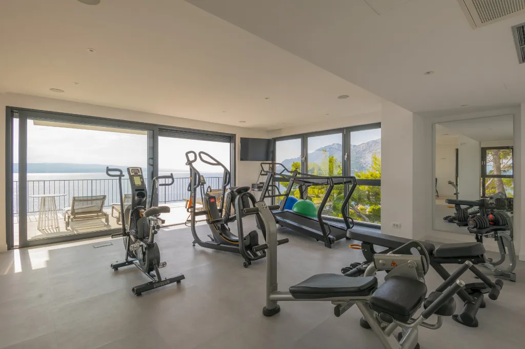Seaview Grand Villa with Pool in Brela