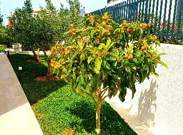 Seaside Family Villa with Pool in Sevid