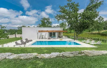 Modern 3-Bedroom Villa With Heated Pool in Pazin