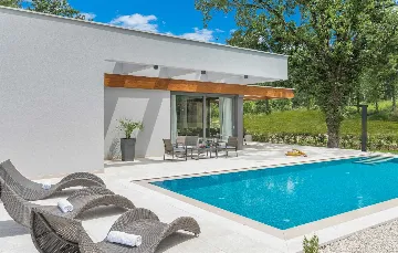 Modern 3-Bedroom Villa With Heated Pool in Pazin