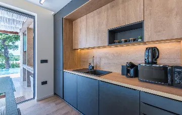 Modern Two-Bedroom Villa with Pool in Pazin