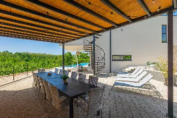 Spacious Villa with Infinity Pool in Vižinada
