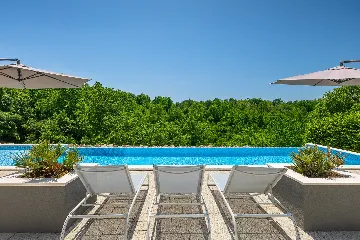Spacious Villa with Infinity Pool in Vižinada