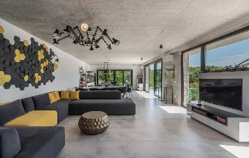 Spacious Villa with Infinity Pool in Vižinada