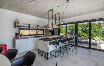 Spacious Villa with Infinity Pool in Vižinada