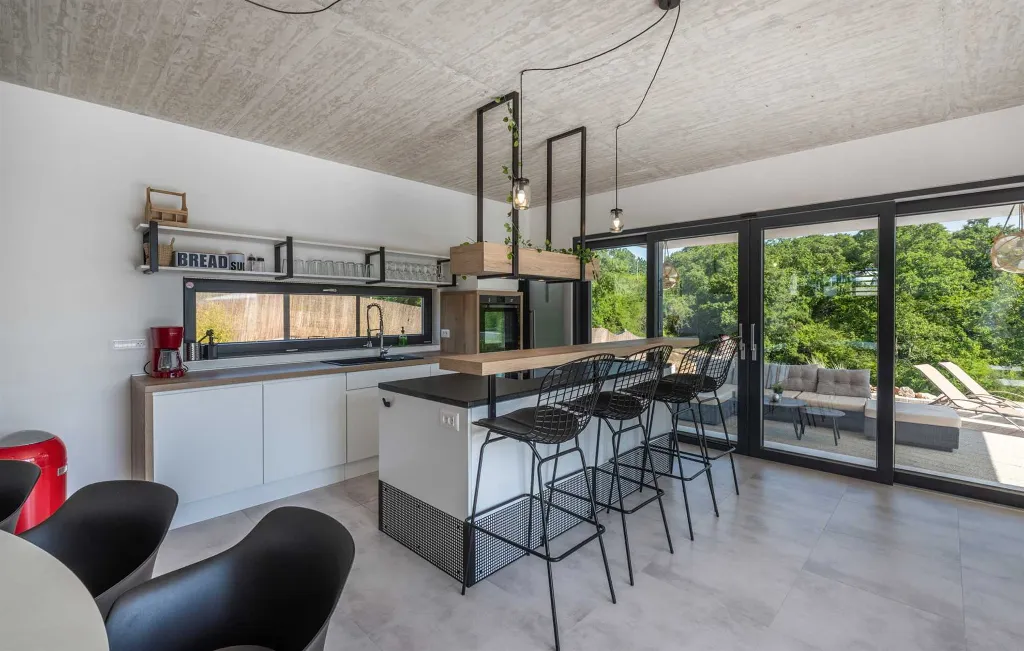 Spacious Villa with Infinity Pool in Vižinada