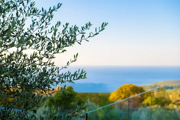 Panorama Retreat Villa with Pool, Labin