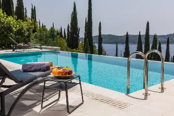 Contemporary Villa with Pool in Orašac