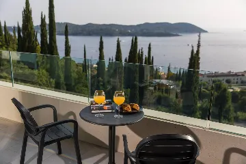 Contemporary Villa with Pool in Orašac