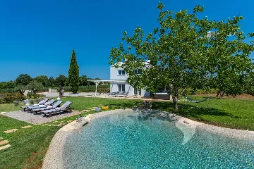 Modern Villa Retreat with Private Grounds in Svetvinčenat