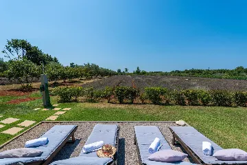 Modern Villa Retreat with Private Grounds in Svetvinčenat