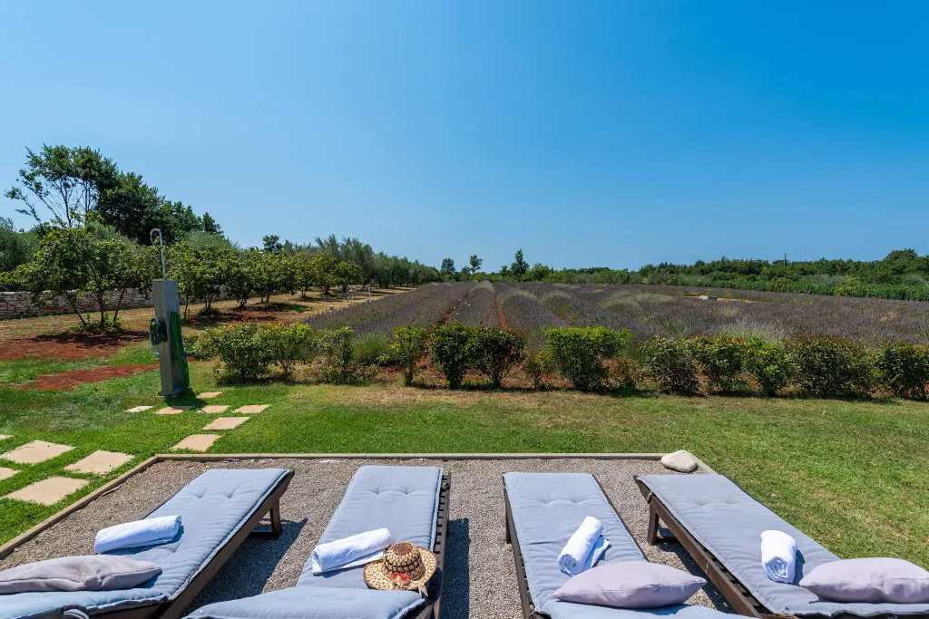 Modern Villa Retreat with Private Grounds in Svetvinčenat