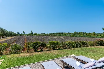 Modern Villa Retreat with Private Grounds in Svetvinčenat