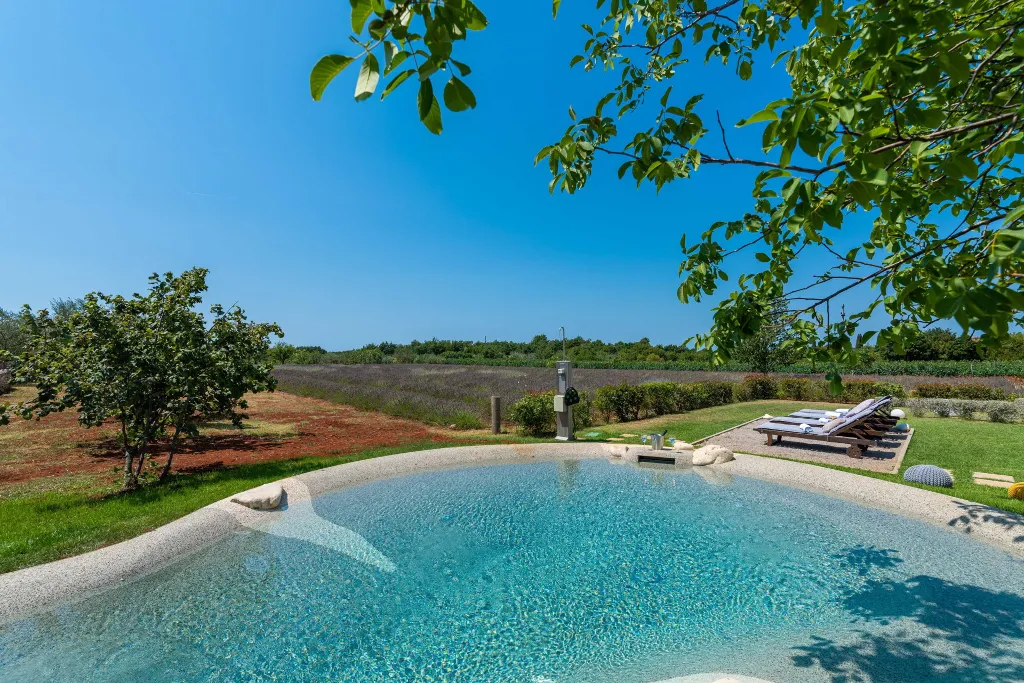 Modern Villa Retreat with Private Grounds in Svetvinčenat