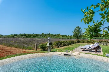 Modern Villa Retreat with Private Grounds in Svetvinčenat