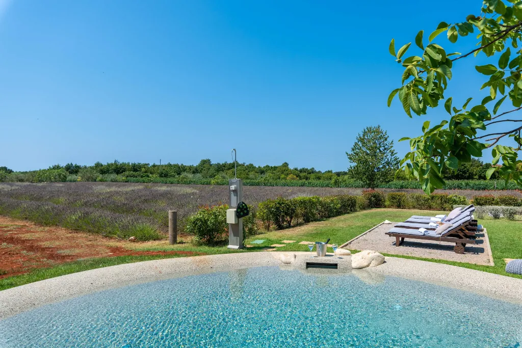 Modern Villa Retreat with Private Grounds in Svetvinčenat