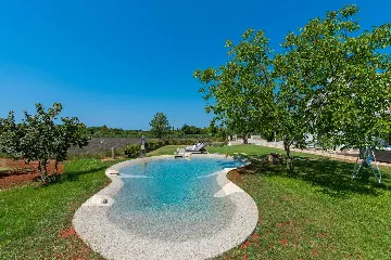 Modern Villa Retreat with Private Grounds in Svetvinčenat