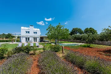 Modern Villa Retreat with Private Grounds in Svetvinčenat