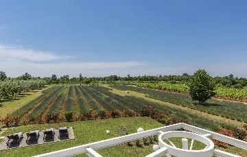 Modern Villa Retreat with Private Grounds in Svetvinčenat