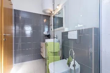 Family Villa with Pool in Kaštelir