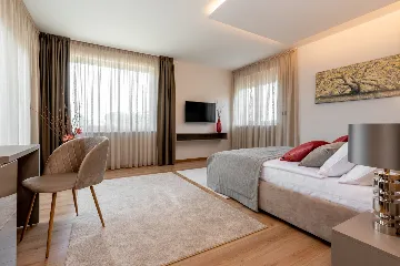 Modern Villa with Pool and Sauna in Labin