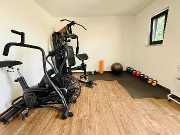 Spacious Family Villa with Pool in Labin