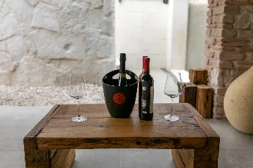 Family Villa with Pool in Vižinada