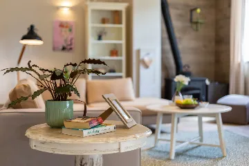 Modern Rustic Villa with Pool in Svetvinčenat