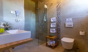 Modern Rustic Villa with Pool in Svetvinčenat