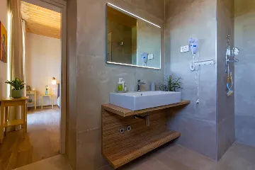 Modern Rustic Villa with Pool in Svetvinčenat