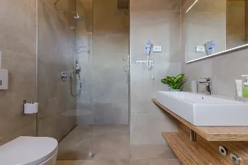 Modern Rustic Villa with Pool in Svetvinčenat