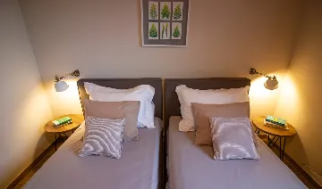 Modern Rustic Villa with Pool in Svetvinčenat