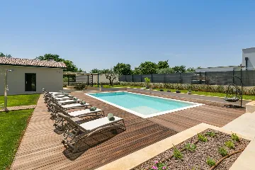 Modern Villa with Private Pool Nova Vas