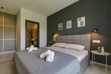 Modern Villa with Private Pool Nova Vas