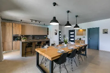 Modern Villa with Private Pool Nova Vas