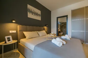 Modern Villa with Private Pool Nova Vas