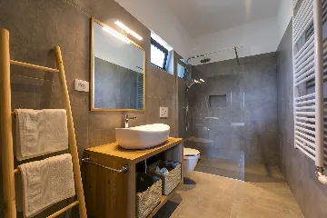 Modern Villa with Private Pool Nova Vas