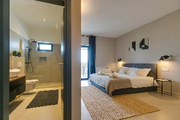 Modern Villa with Private Pool Nova Vas