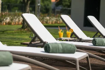 Modern Villa with Private Pool Nova Vas